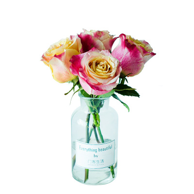 BEAT365|联盟情报局：LOL全球十周年庆典 无限火力模式来袭(图4)