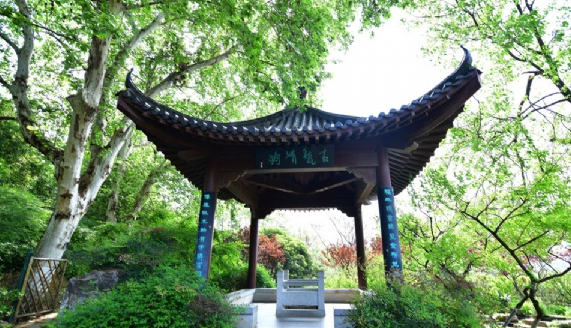 一级血量最高的英雄是谁？元歌1星，铠3星，而9星的他比别人多1000血|beat365(图2)