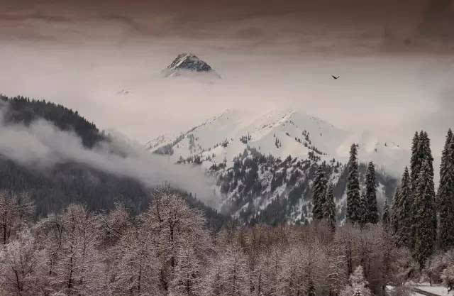 “BEAT365”常用辅助代表你的段位，黄金蔡文姬。钻石小明。星耀孙膑。王者选他！(图1)