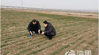 技嘉发表X299 AORUS MASTER主板-beat365(图2)