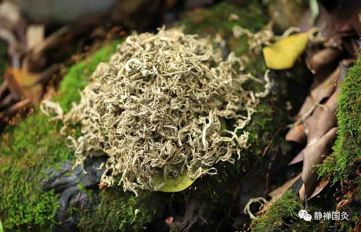 技嘉发表X299 AORUS MASTER主板-beat36